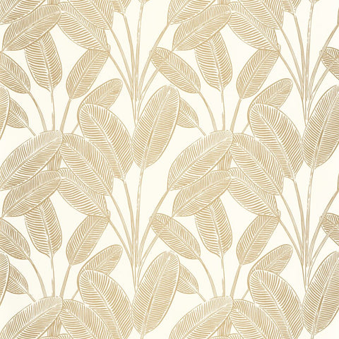 Papel Pintado MOONLIGHT 2 MLGT104320247 -PAPELHOGAR
