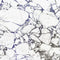 Papel pintado panorámico MINERALS MNRL88130603 -PAPELHOGAR