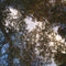 Panoramico Papel Pintado RIVERSIDE 3 RVSD85341547 -PAPELHOGAR
