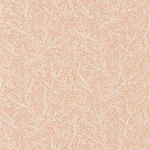 Papel Pintado COLOR BOX 3 CB3102783097 -PAPELHOGAR