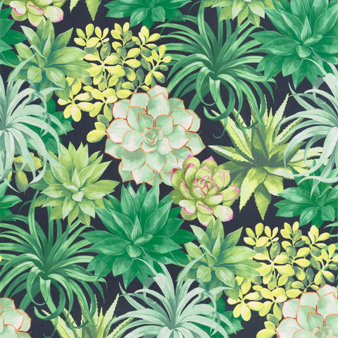 Papel Pintado BOTANICA BOTA85917396 -PAPELHOGAR
