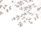 Panoramico Papel Pintado WONDERWALLS WDWS89134108 -PAPELHOGAR