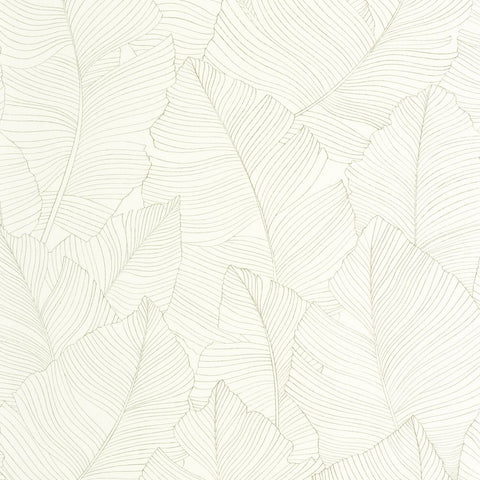 Papel Pintado BORNEO CAL BORN106507050 -PAPELHOGAR