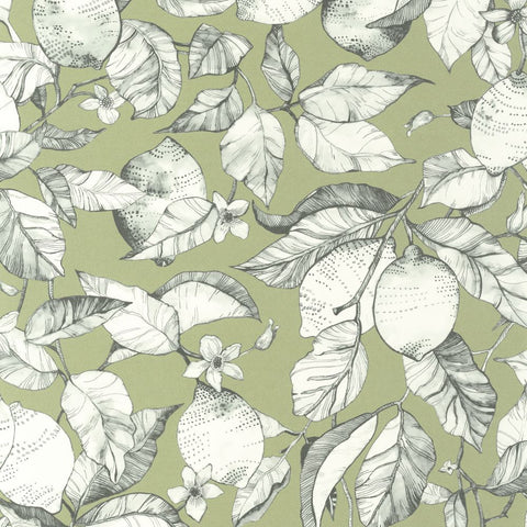 Papel Pintado SOLIFLORE SOLI200277313 -PAPELHOGAR