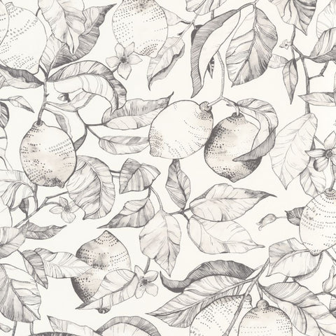 Papel pintado SOLIFLORE SOLI200270900-PAPELHOGAR