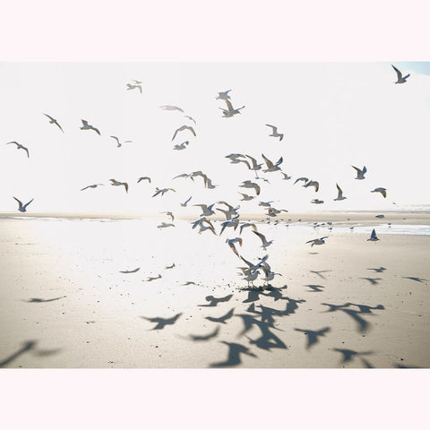 Fondo de pantalla panorámico SEASIDE SEAS201531010-PAPELHOGAR