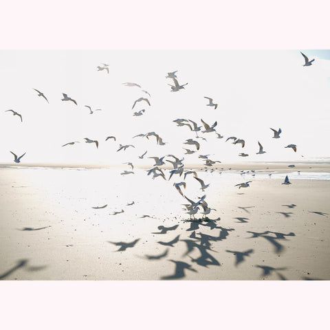 Fondo de pantalla panorámico SEASIDE SEAS201531011-PAPELHOGAR