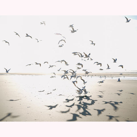 Fondo de pantalla panorámico SEASIDE SEAS201531012-PAPELHOGAR