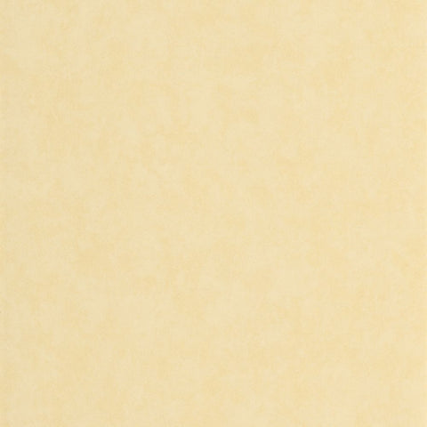 Papel pintado ECHAPPEE BELLE ECHA89852121-PAPELHOGAR