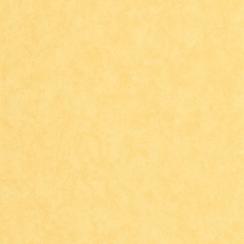 Papel pintado ECHAPPEE BELLE ECHA89852303-PAPELHOGAR