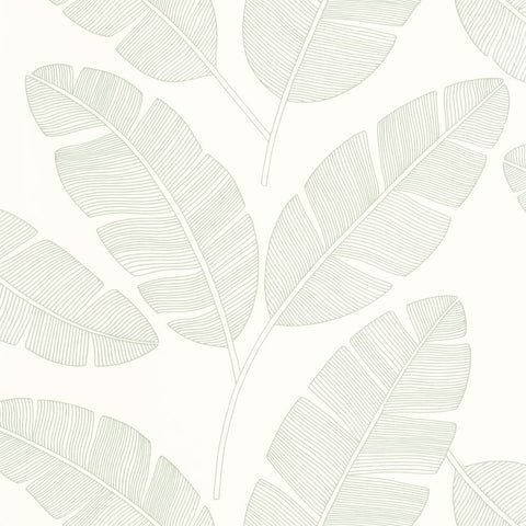 Papel pintado GREEN & CO GCO101100723-PAPELHOGAR