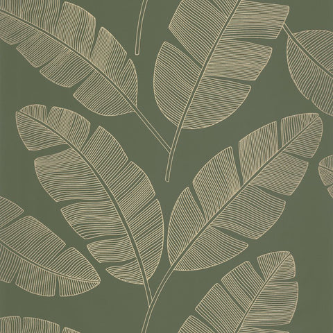Papel pintado GREEN & CO GCO101107142-PAPELHOGAR