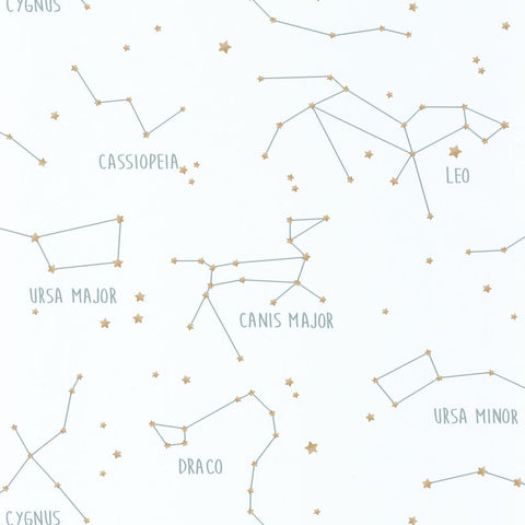 Papel pintado OUR PLANET OUP101917125-PAPELHOGAR