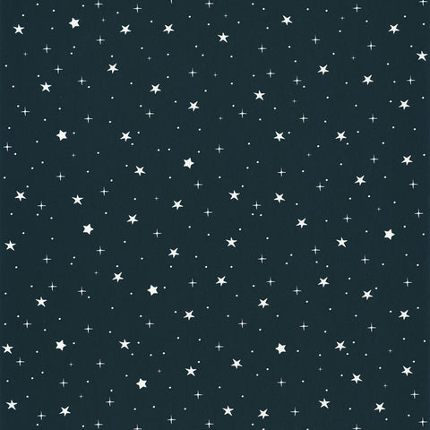 Papel pintado OUR PLANET OUP101926918-PAPELHOGAR