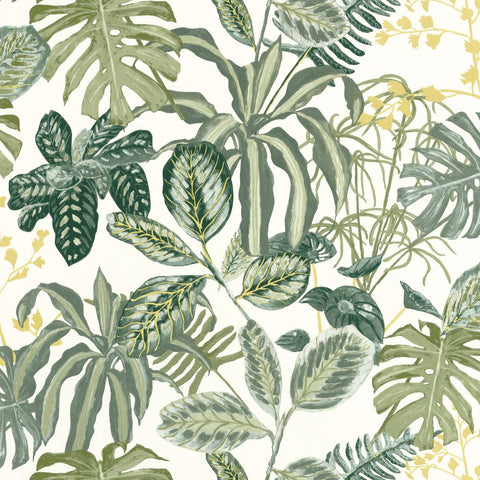 Papel pintado GREEN & CO GCO103897067-PAPELHOGAR
