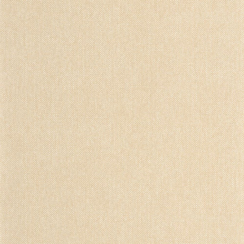 Papel pintado WILD CAL WILD104991300-PAPELHOGAR