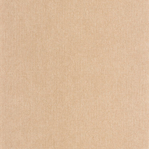 Papel pintado WILD CAL WILD104991796-PAPELHOGAR