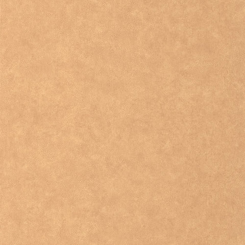 Papel pintado AZUR AZU105243000-PAPELHOGAR