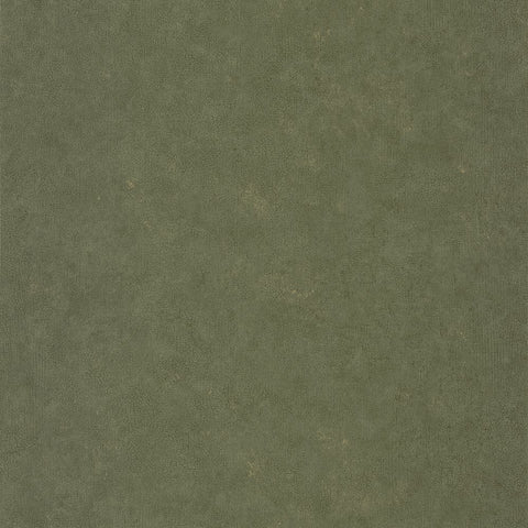 Papel pintado AZUR AZU105257024-PAPELHOGAR