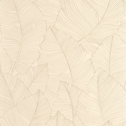 Papel pintado BORNEO CAL BORN106502017-PAPELHOGAR