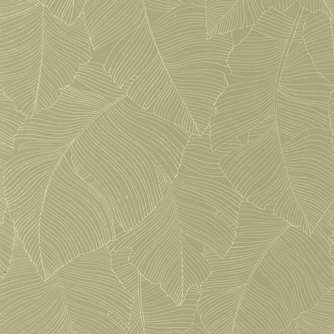 Papel pintado BORNEO CAL BORN106507170-PAPELHOGAR