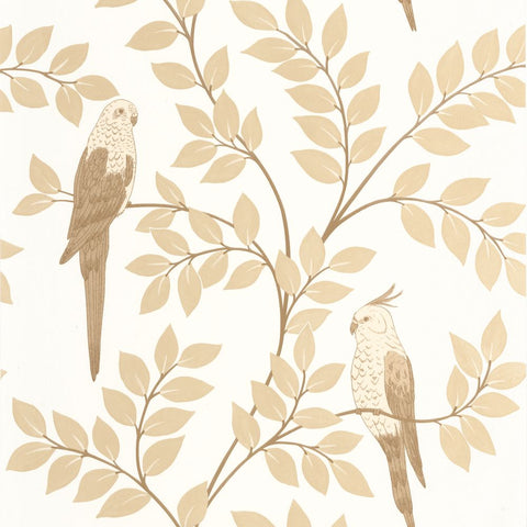 Papel pintado BORNEO CAL BORN106521000-PAPELHOGAR