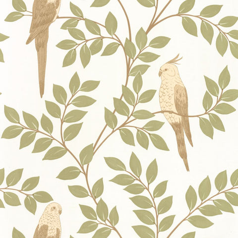 Papel pintado BORNEO CAL BORN106527070-PAPELHOGAR