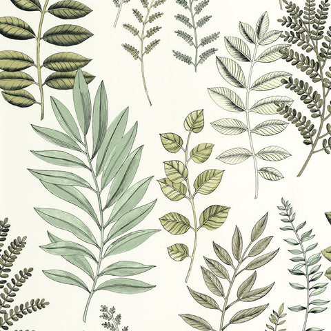 Papel pintado ART OF BOTANY AOB106660782-PAPELHOGAR