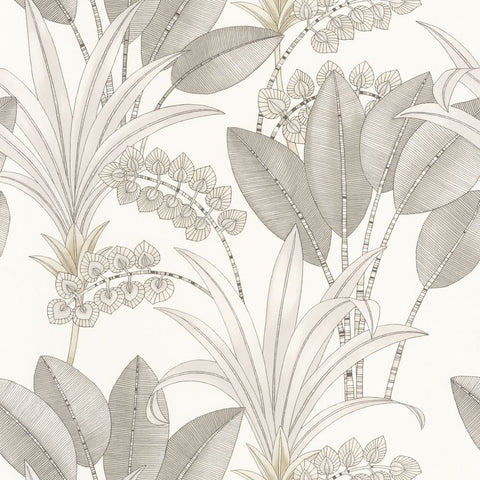 Papel Pintado NICARAGUA NICA86410202 -PAPELHOGAR