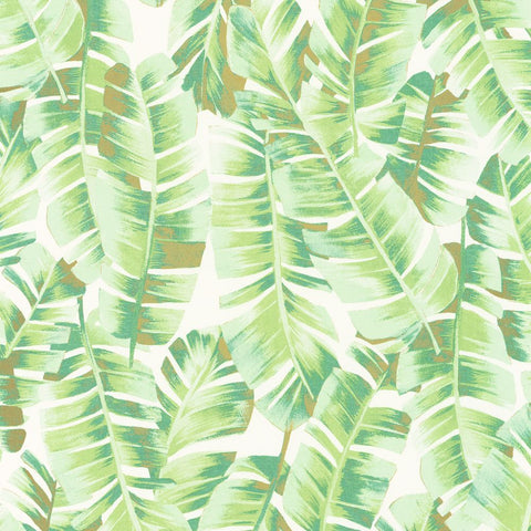 Papel Pintado BOTANICA BOTA85947340 -PAPELHOGAR