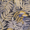 Papel Pintado BOTANICA BOTA85892175 -PAPELHOGAR