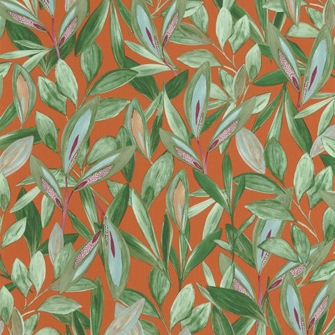 Papel Pintado NICARAGUA NICA85973313 -PAPELHOGAR