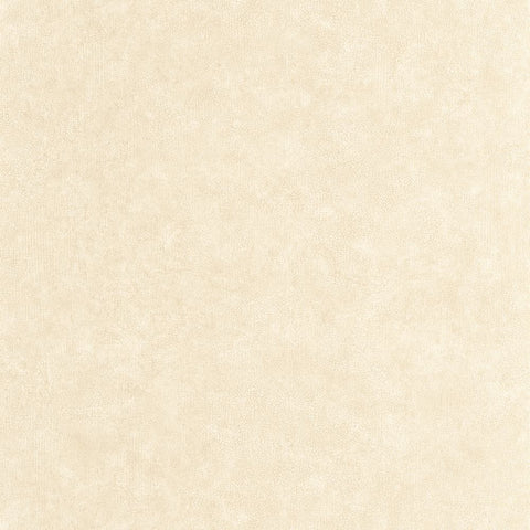 Papel Pintado CERAMIQUE CER105241730 -PAPELHOGAR