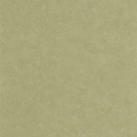Papel Pintado CERAMIQUE CER105247850 -PAPELHOGAR