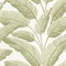 Papel Pintado BORNEO CAL BORN106547003 -PAPELHOGAR