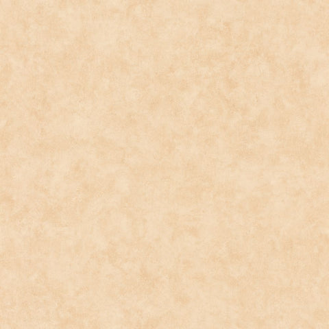 Papel Pintado BETON 2 BTO101481674 -PAPELHOGAR