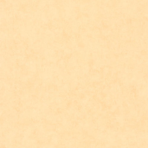 Papel Pintado BETON 2 BTO101483100 -PAPELHOGAR
