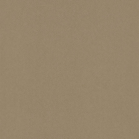 Papel Pintado BEAUTY FULL COLOR BFCO82281240 -PAPELHOGAR