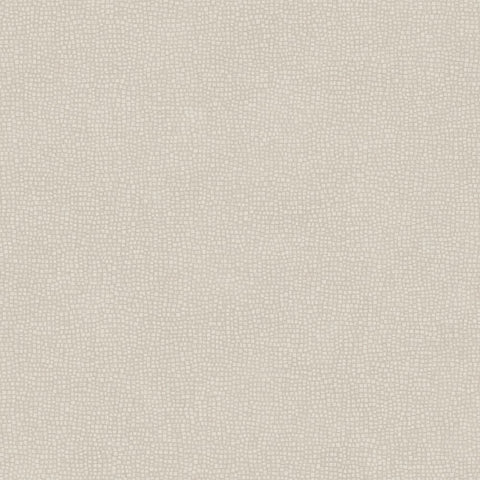 Papel Pintado SO COLOR 4 SCOL80541323 -PAPELHOGAR