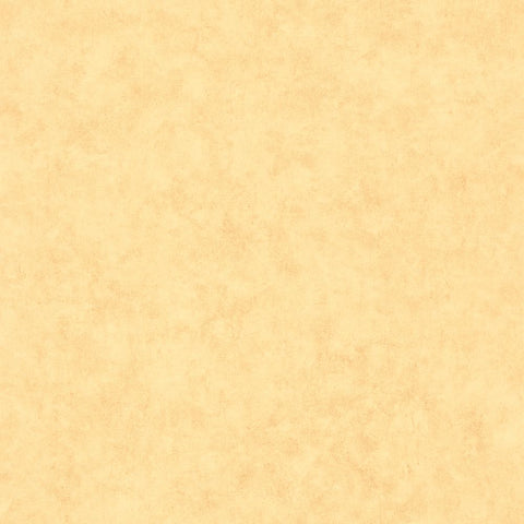 Papel Pintado BETON 2 BTO101482200 -PAPELHOGAR