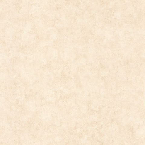 Papel Pintado BETON 2 BTO101481123 -PAPELHOGAR