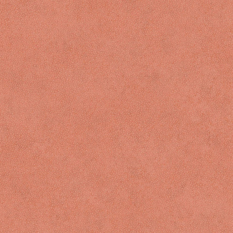 Papel Pintado SO COLOR 4 SCOL29583100 -PAPELHOGAR