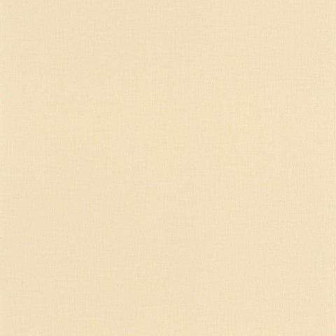 Papel Pintado BASICS BAI64521270 -PAPELHOGAR