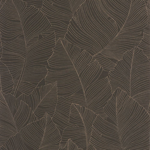 Papel Pintado BORNEO CAL BORN106509027 -PAPELHOGAR