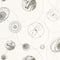 Papel Pintado YOUNG AND FREE YNF103257077 -PAPELHOGAR