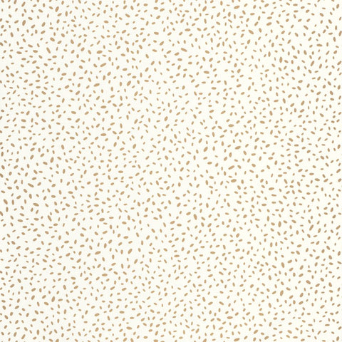 Papel Pintado COLOR BOX 3 CB3103131020 -PAPELHOGAR