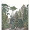 Panoramico Papel Pintado MEDITERRANEE MEDI87457201 -PAPELHOGAR