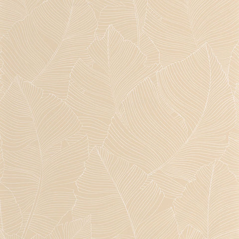 Papel Pintado BORNEO CAL BORN106500010 -PAPELHOGAR