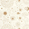 Papel Pintado YOUNG AND FREE YNF103240020 -PAPELHOGAR