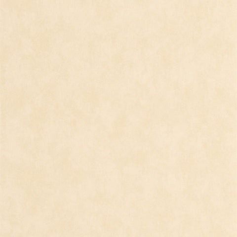 Papel Pintado ECHAPPEE BELLE ECHA89851141 -PAPELHOGAR